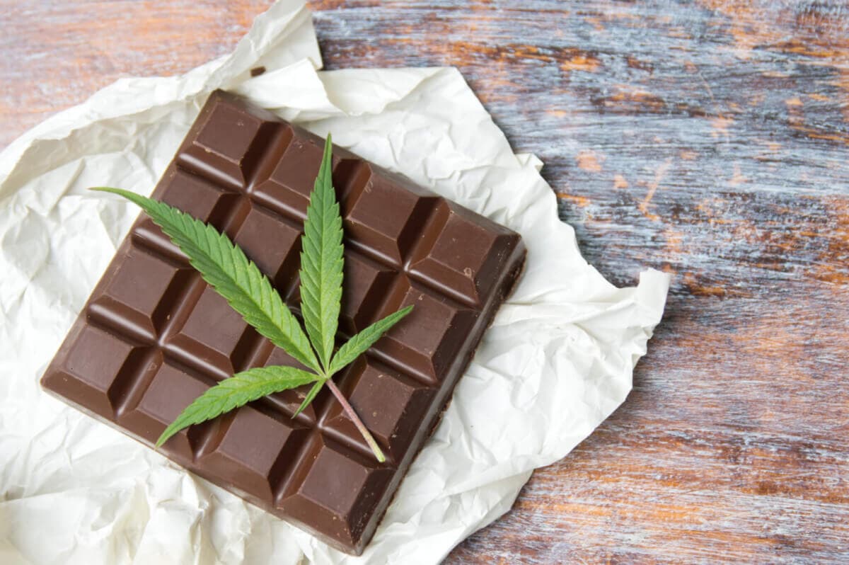 Chocolate Edibles 1000mg by Miami Rave – Premium Infused Cakes