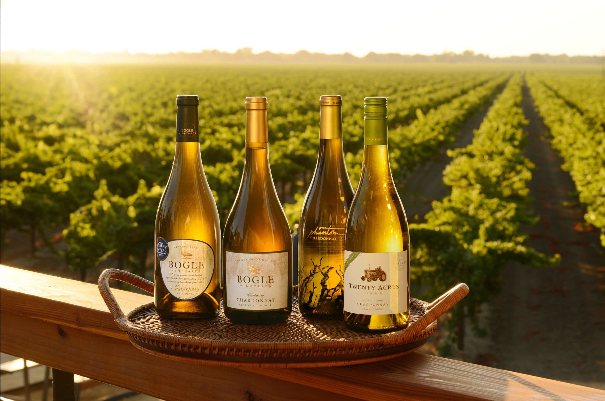 Clarksburg Wineries with Stunning Vineyard Views