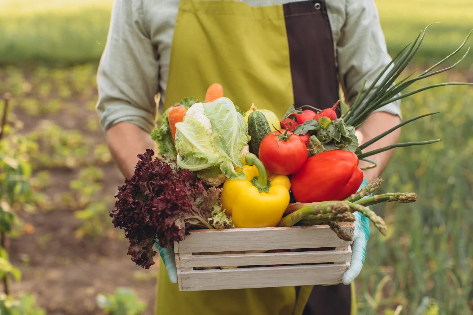 How Organic Foods Support Natural Wellness