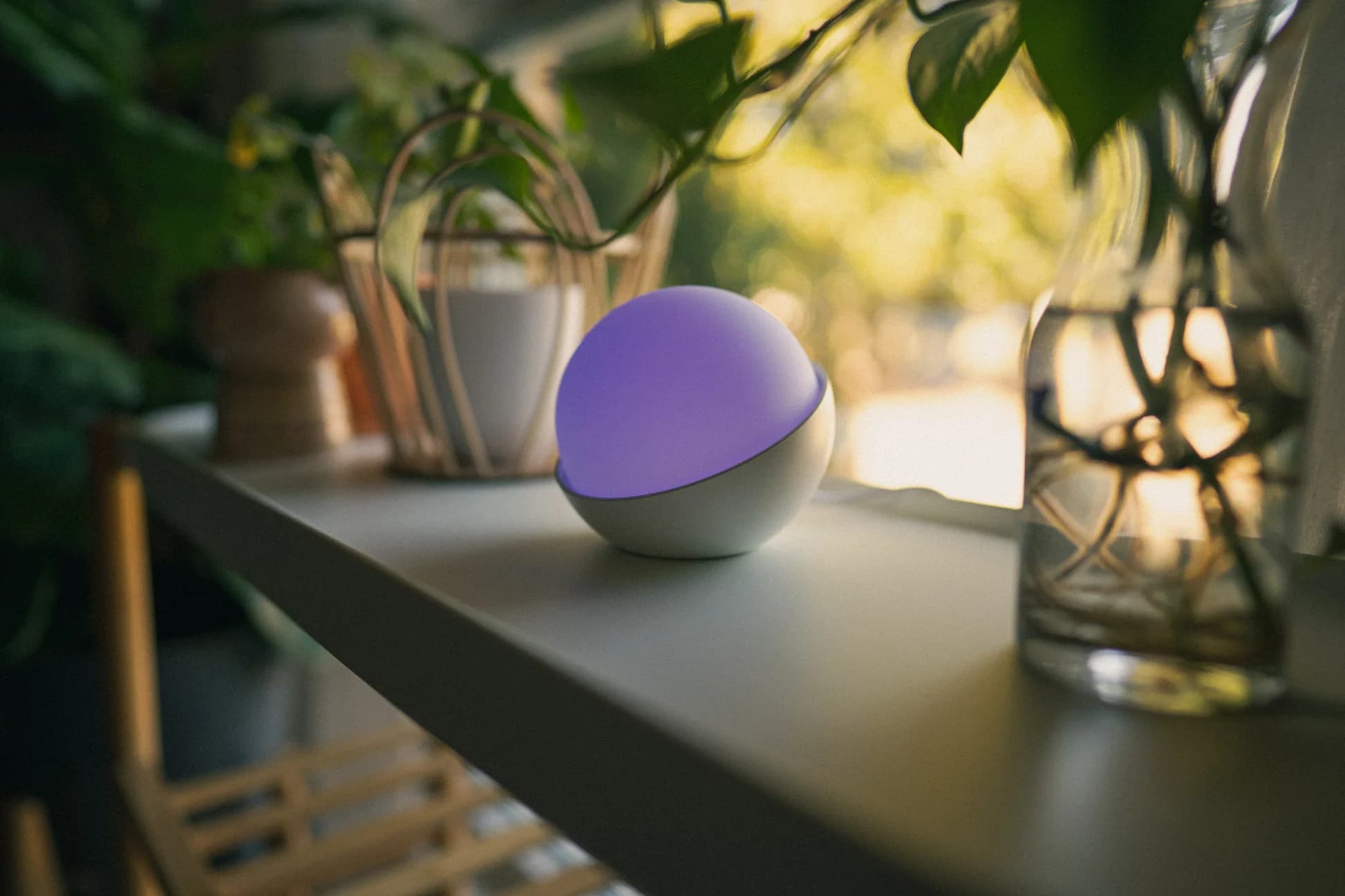 Lewcose Diabetes Monitor for Accurate and Instant Glucose Insights