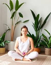 Whole Being Therapy and Breathwork | EMDR &amp; Trauma Therapy in Denver