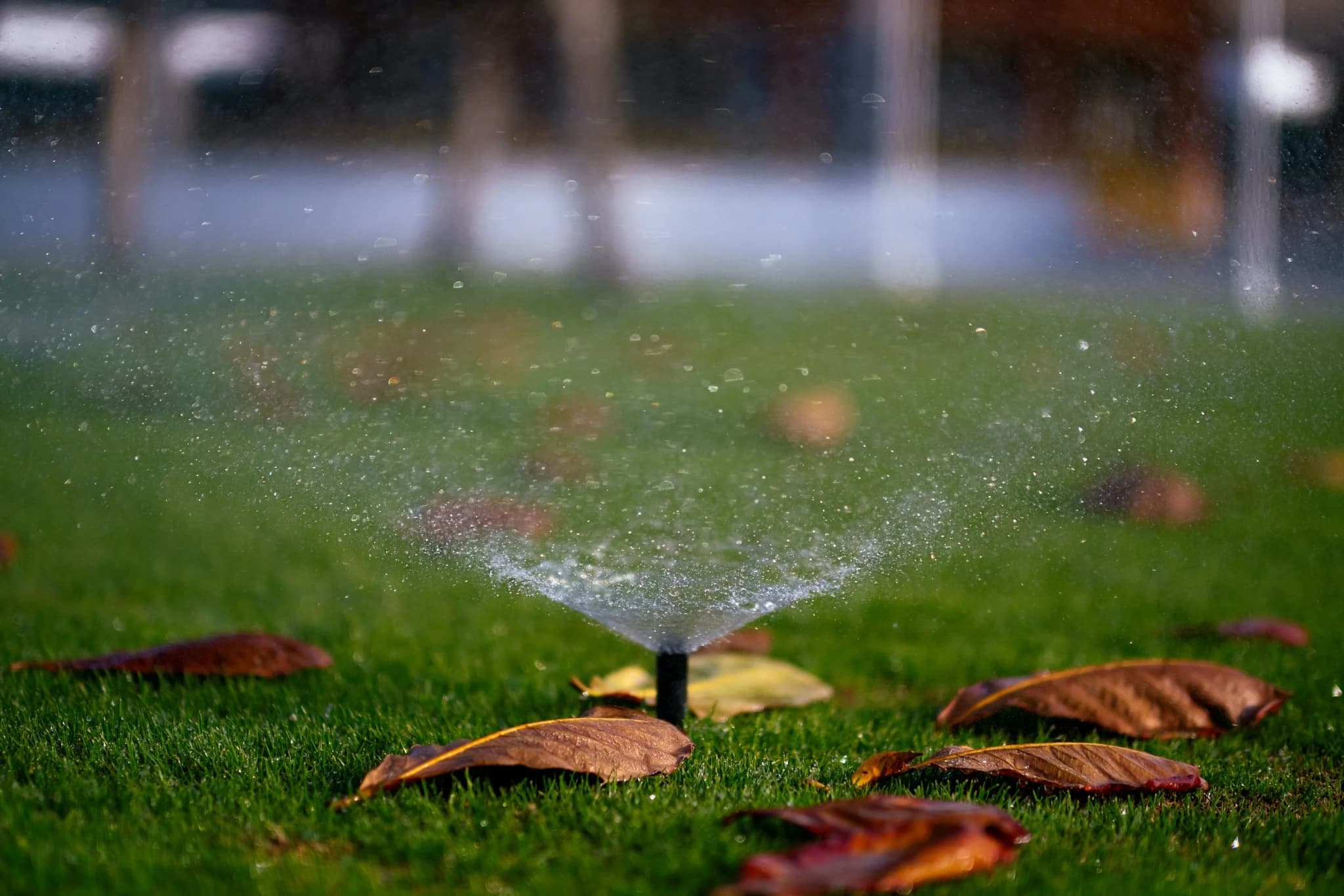 The Sprinkler Company Inc | Sprinkler Systems Installed in One Day