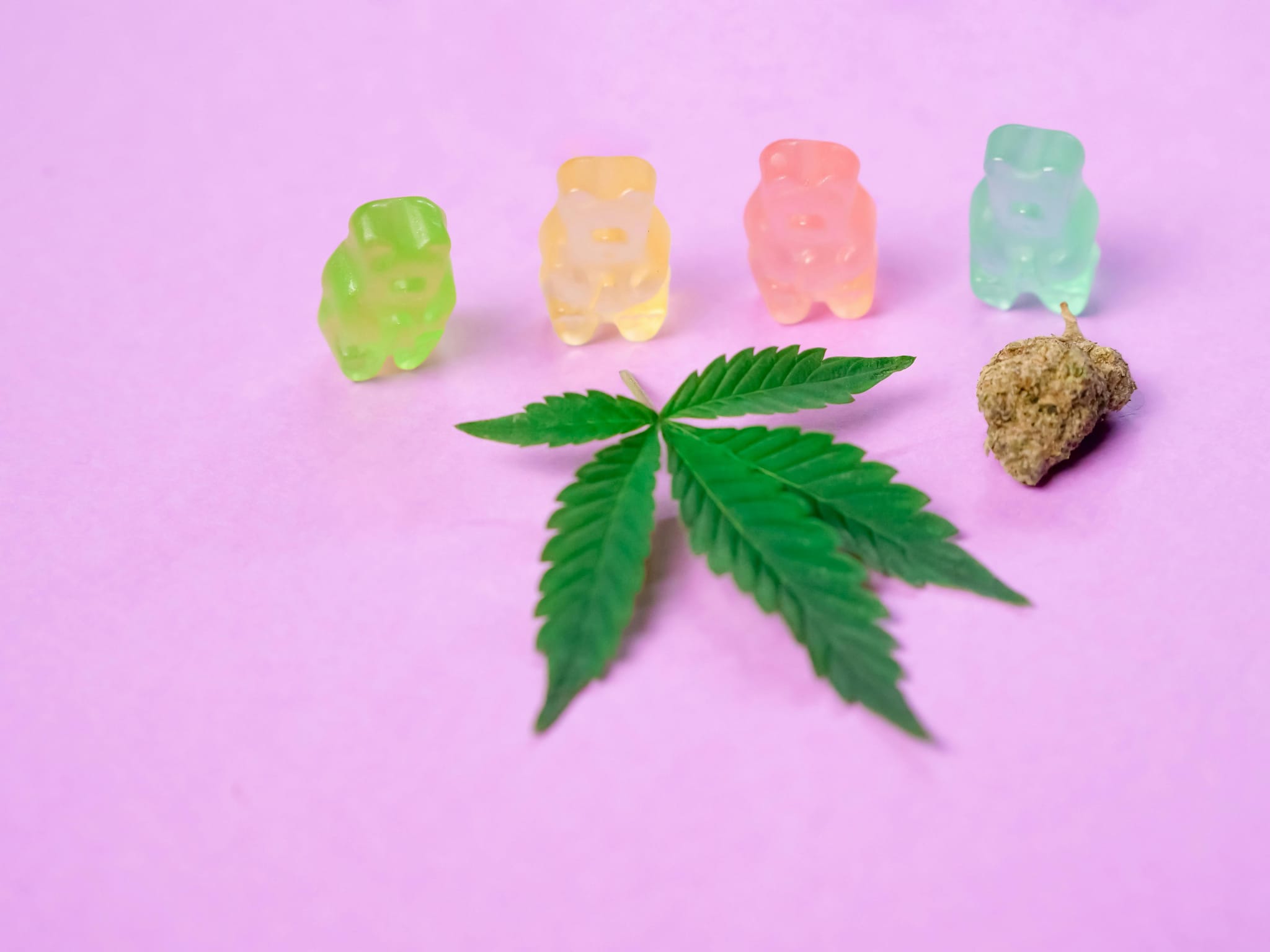 CANNABIS AND COOKING CULTURE: MYTHS, FACTS, AND MODERN INSIGHTS