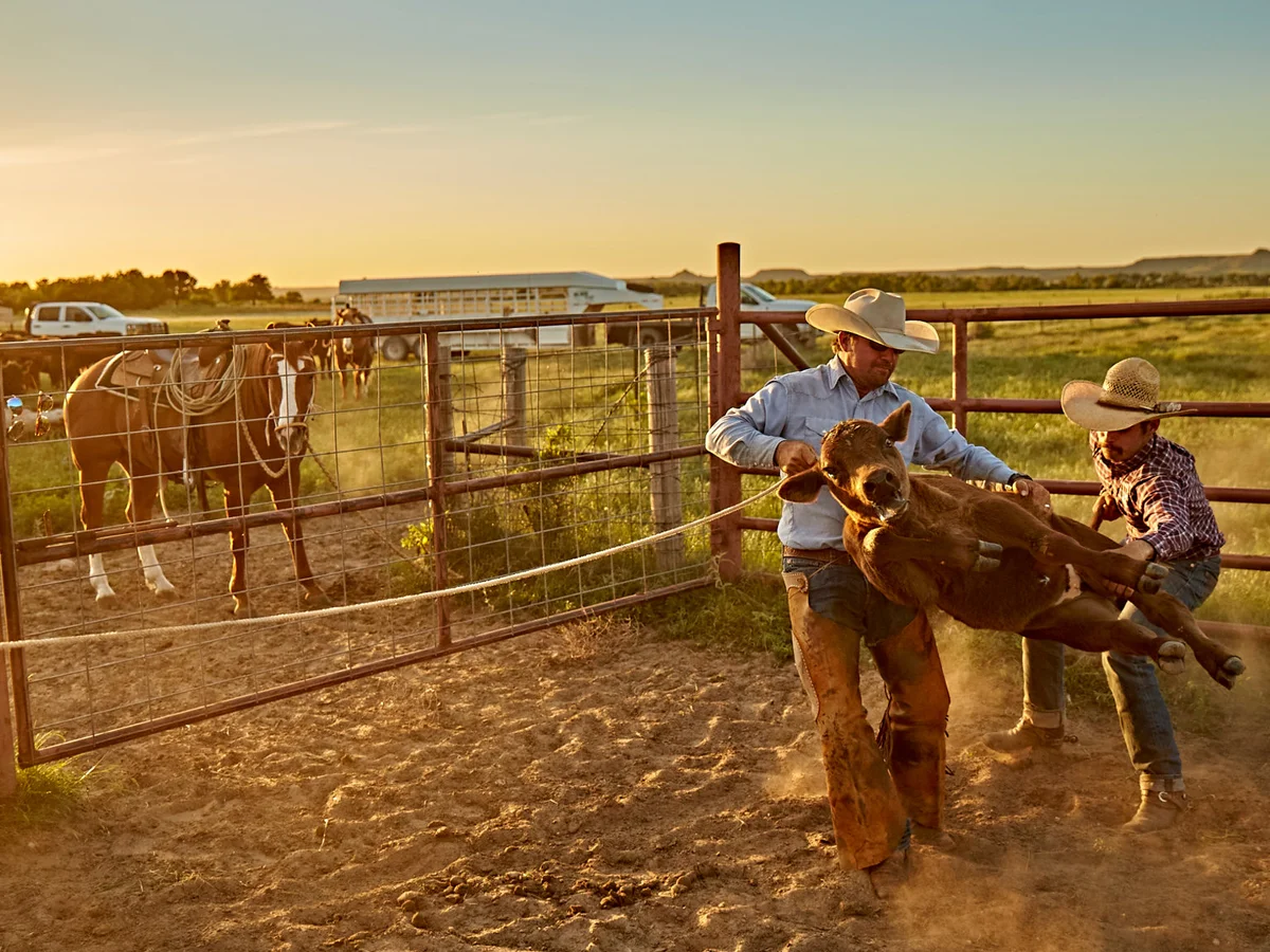 Stylish Cowboy Shirts Canada for Ranch Life and Western Adventures