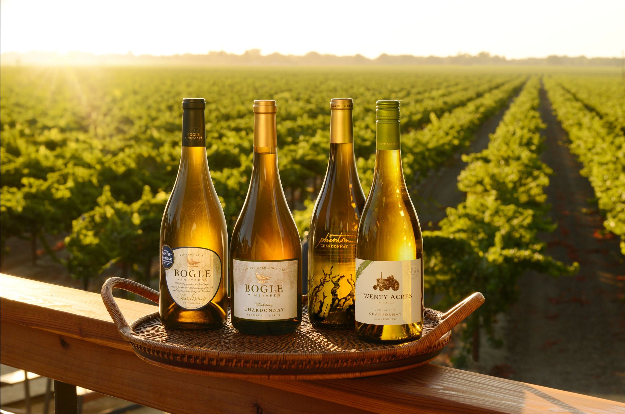 Clarksburg Wineries with Stunning Vineyard Views