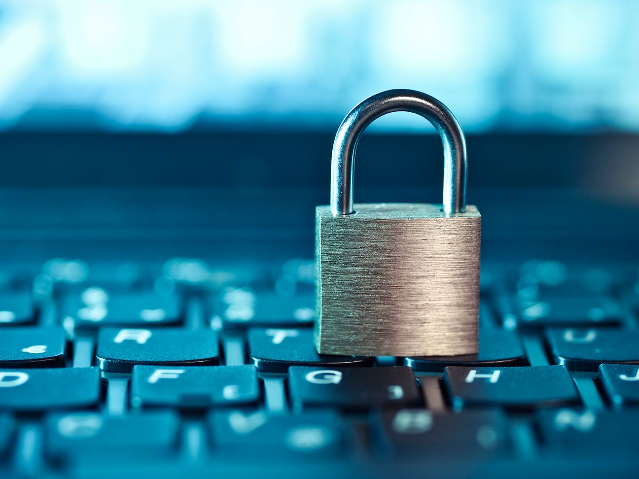The Importance of a Privacy Hardware Store in the World of Digital Privacy Gear