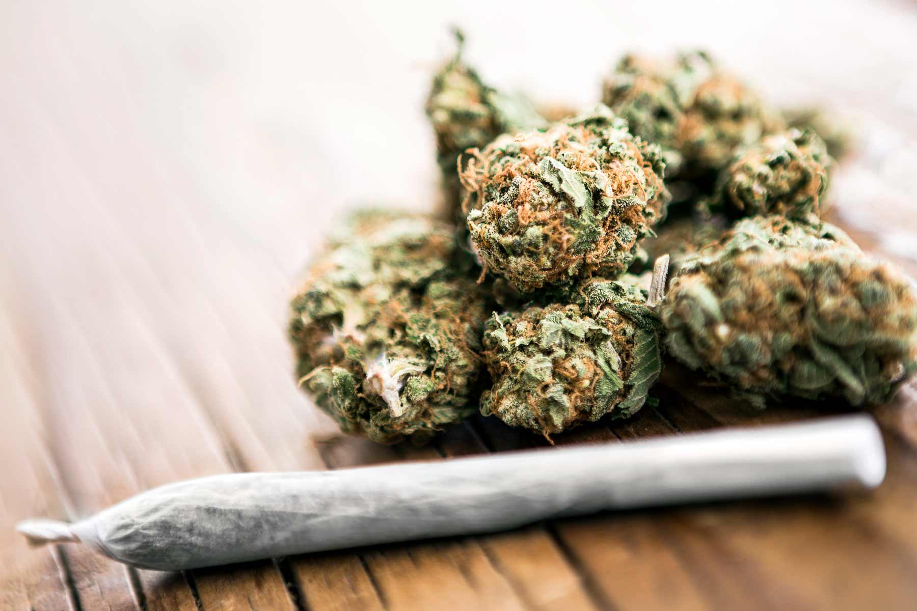 Cannabis club hamburg – Dein CSC mit offizieller Lizenz