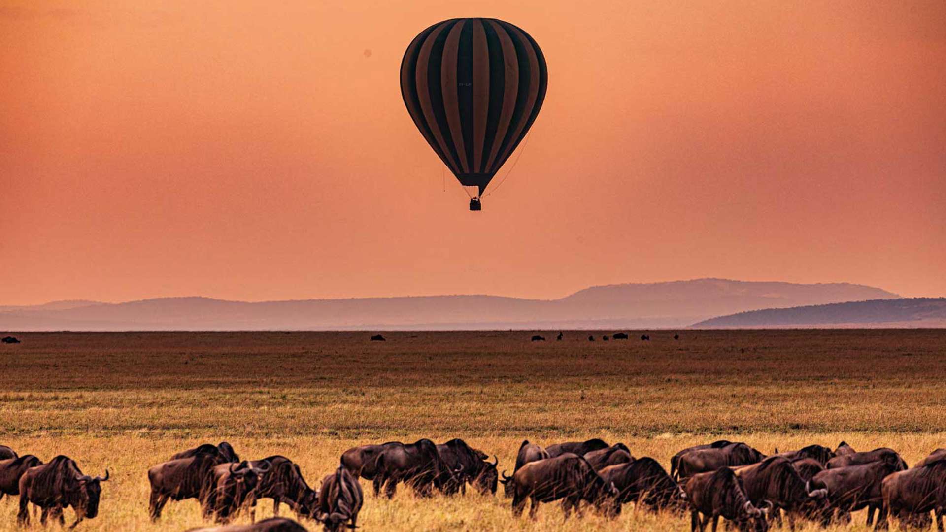 Tanzania Safari Adventures: From Serengeti to Zanzibar