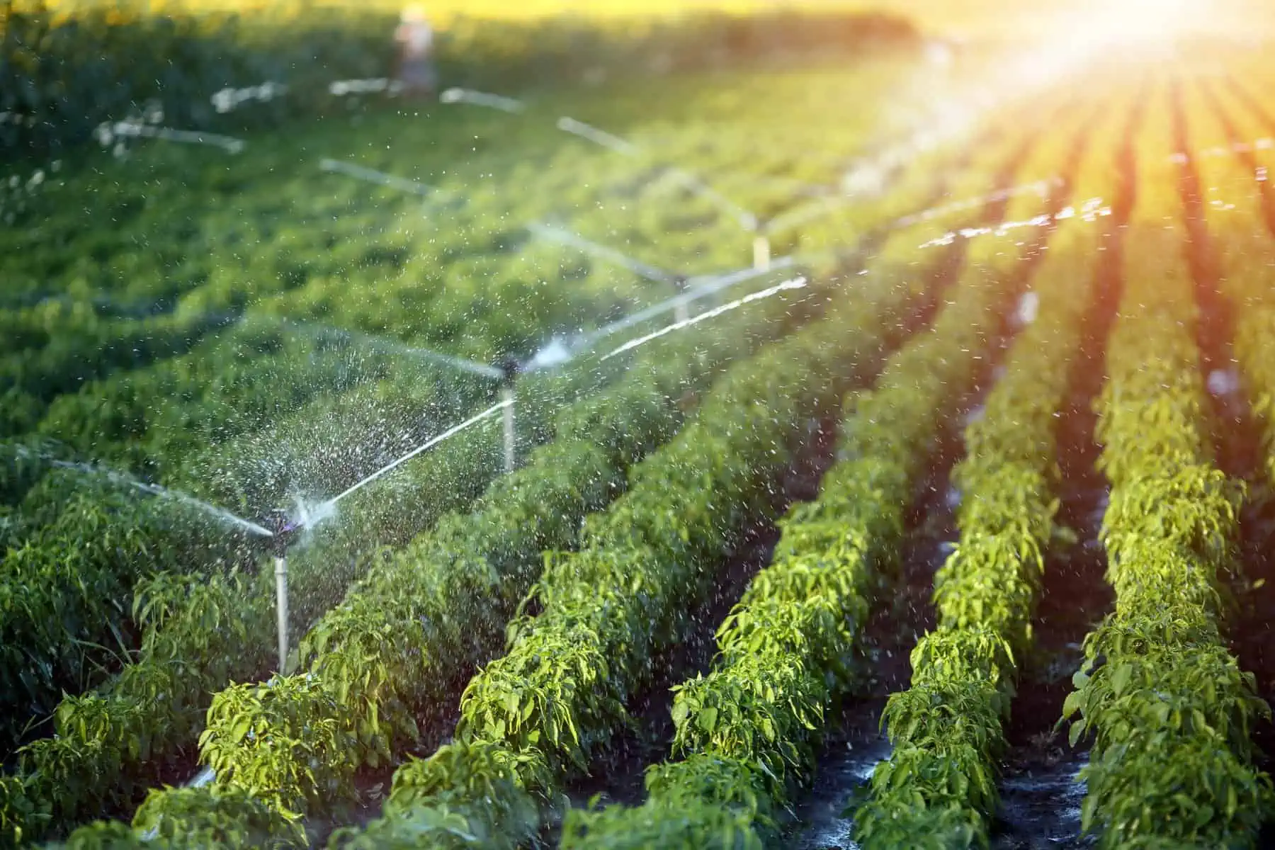 EXPERT PROFESSIONAL IRRIGATION SERVICES IN AZLE, TX YOU CAN COUNT ON