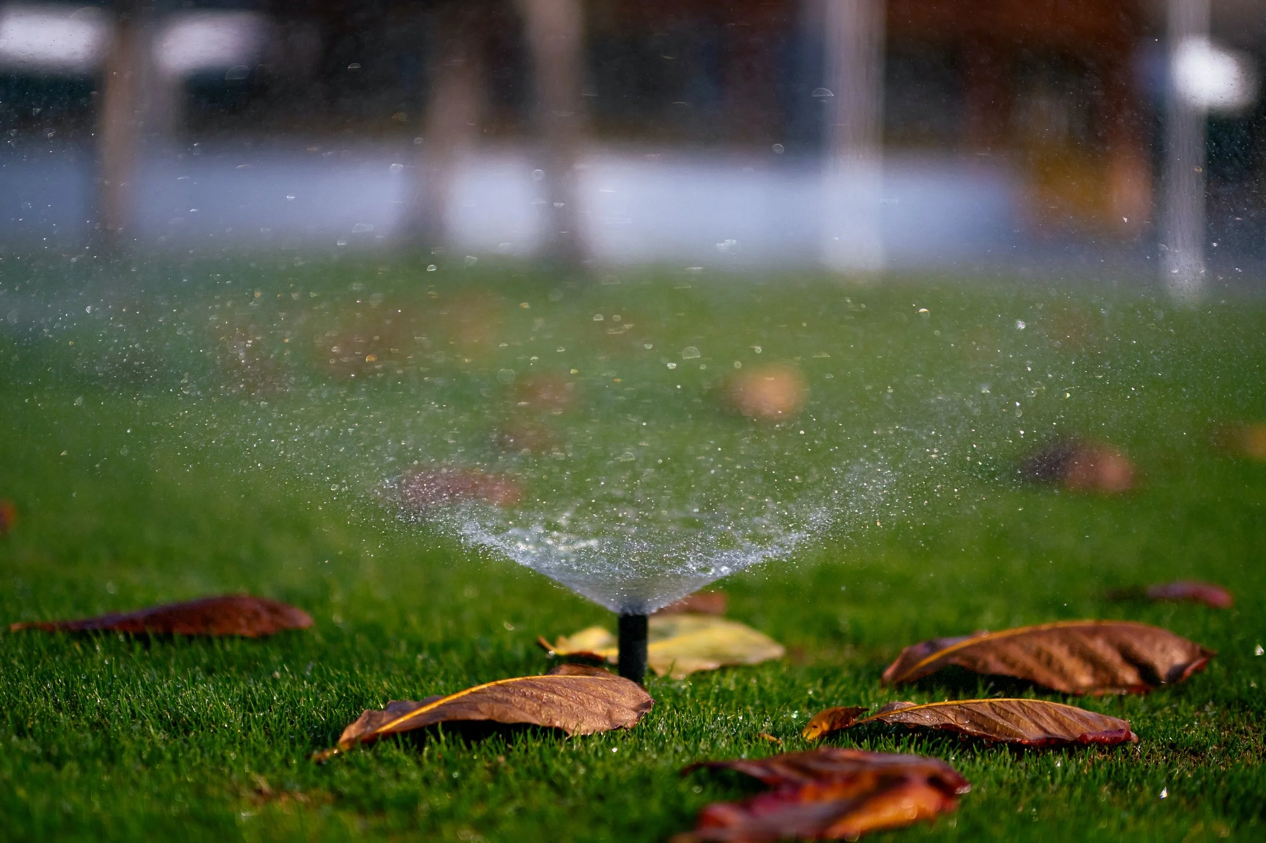 The Sprinkler Company Inc | Sprinkler Systems Installed in One Day