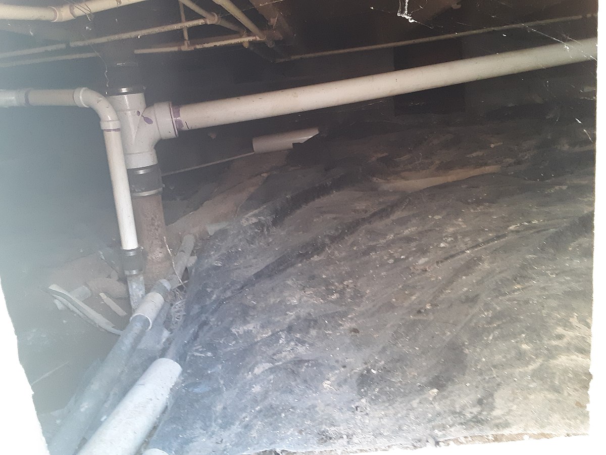 Crawl Space Restoration Solutions Backed by 10+ Years of Experience