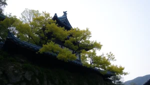 葉酸サプリのボトルが新鮮な野菜と果物の周りに配置された、健康的なライフスタイルを提案するイメージ。