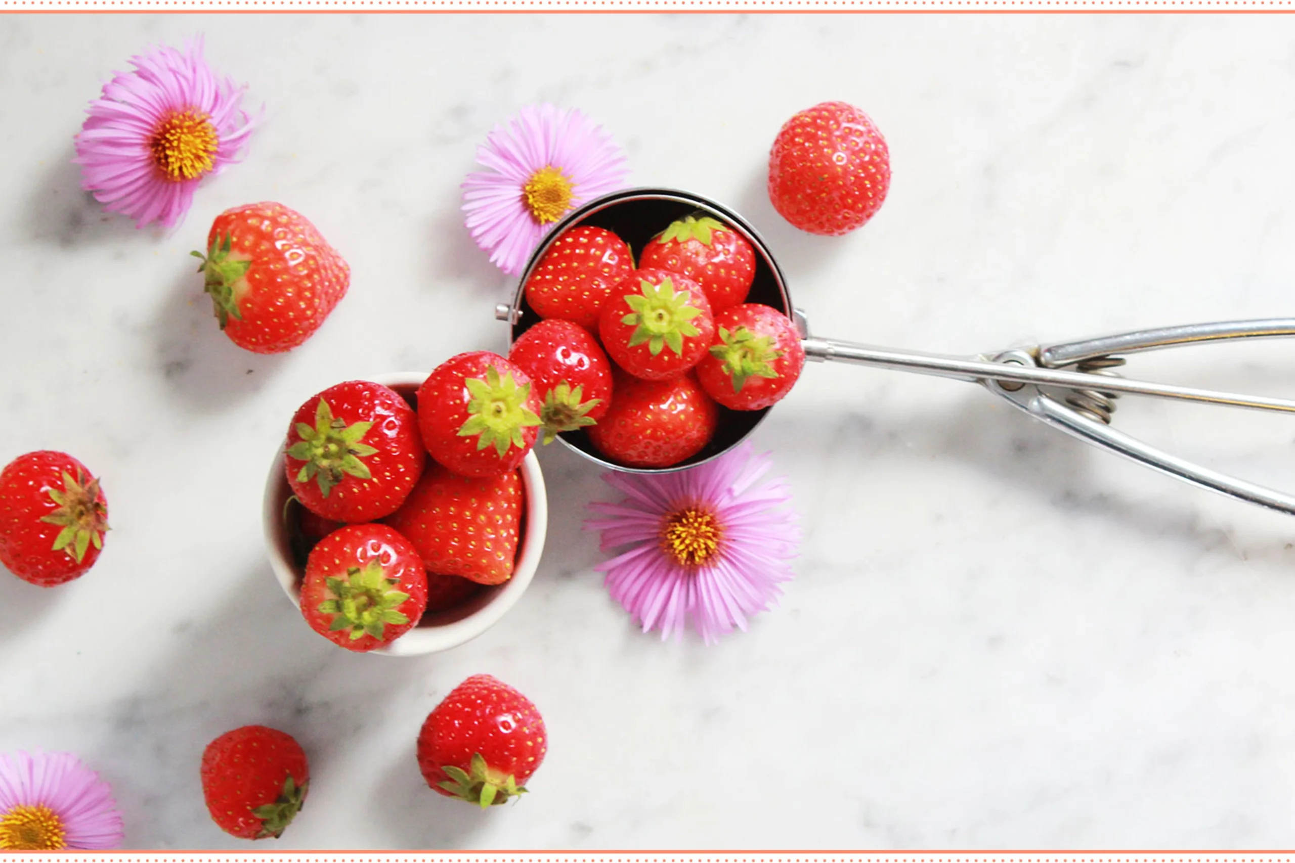 Food Pantry Locations | The Free Food Project