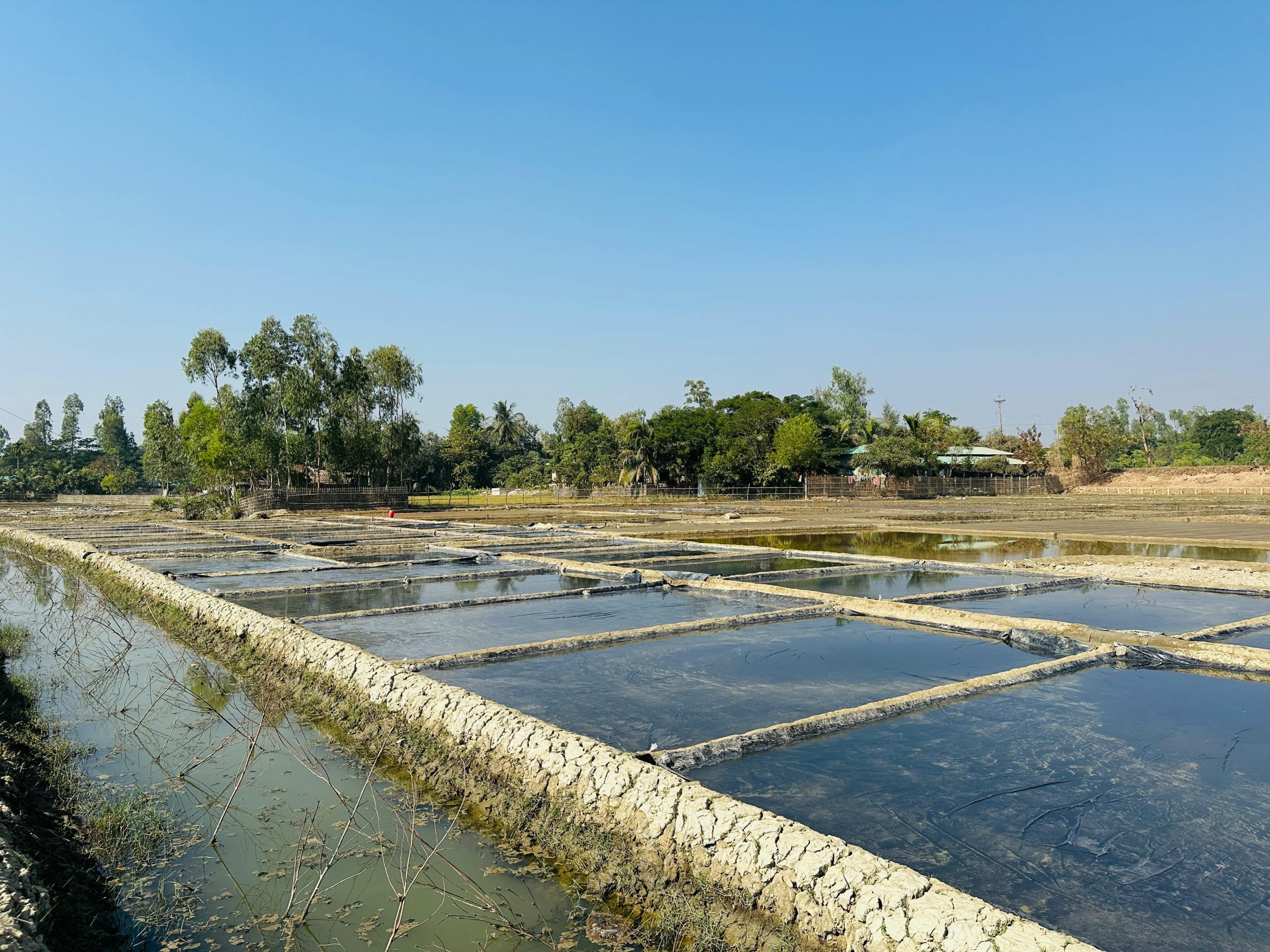 Professional Irrigation Services in Hudson Oaks, TX for Efficient Watering